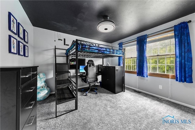 640 Hemlock St, Wauseon, OH 43567 - bedroom featuring carpet floors and a desk