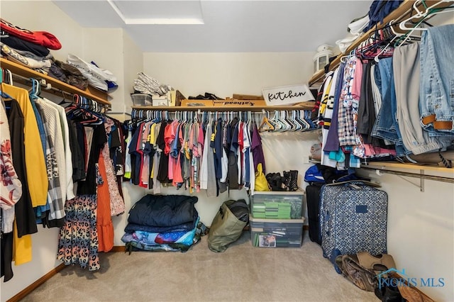 640 Hemlock St, Wauseon, OH 43567 - walk in closet with carpet floors