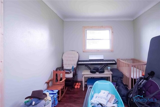 8572 Huffman Rd, Cygnet, OH 43413 - photo 23