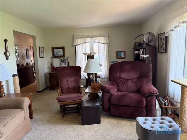 20642 Buckskin Rd, Defiance, OH 43512 - living room featuring light colored carpet