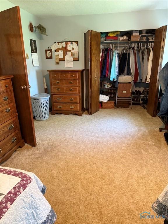 20642 Buckskin Rd, Defiance, OH 43512 - bedroom with a closet and carpet