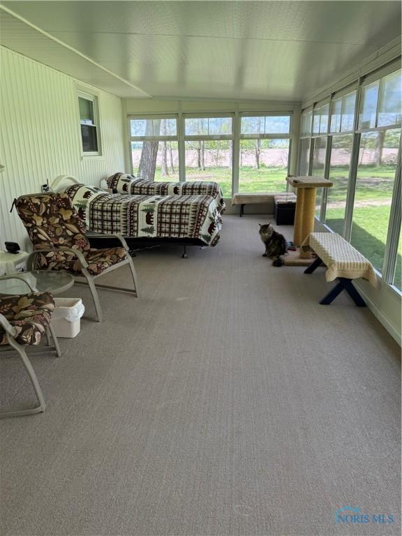 20642 Buckskin Rd, Defiance, OH 43512 - sunroom with carpet floors