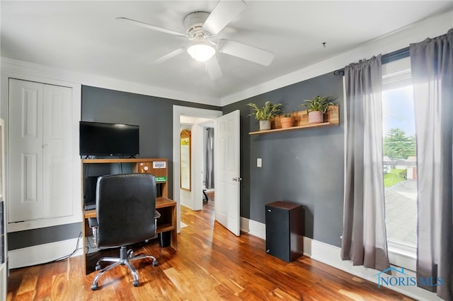404 W Yates Ave, Findlay, OH 45840 - office with ceiling fan, wood finished floors, and baseboards