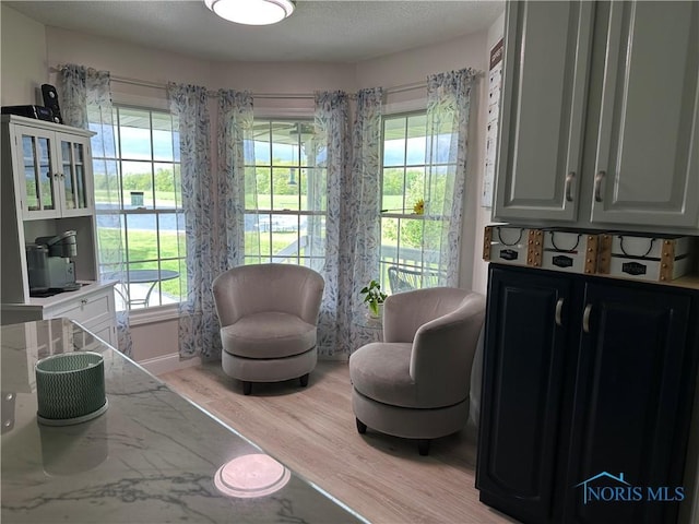 20515 Lockwood Rd, Defiance, OH 43512 - sitting room featuring light wood finished floors