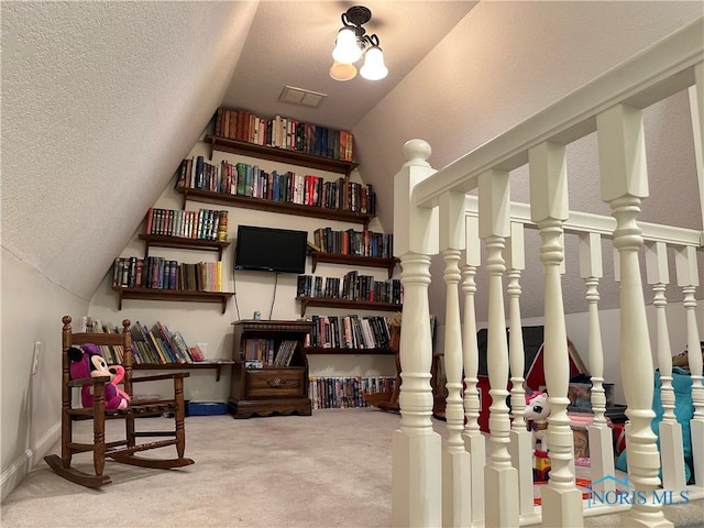 20515 Lockwood Rd, Defiance, OH 43512 - sitting room with carpet floors, a textured ceiling, lofted ceiling, and baseboards