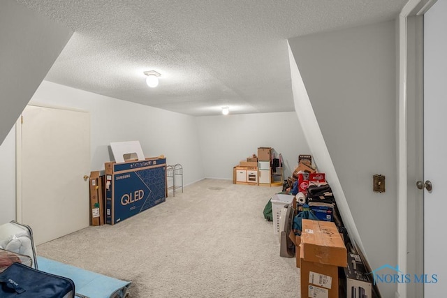 4123 Shamley Green Dr, Toledo, OH 43623 - additional living space featuring carpet floors and a textured ceiling