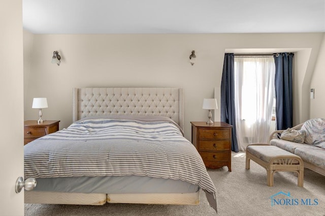4123 Shamley Green Dr, Toledo, OH 43623 - bedroom with carpet floors