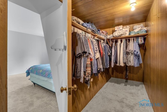 4123 Shamley Green Dr, Toledo, OH 43623 - walk in closet featuring carpet flooring
