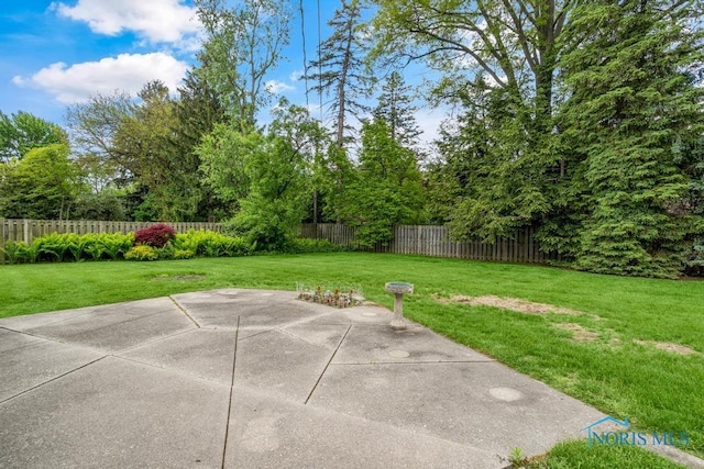 4123 Shamley Green Dr, Toledo, OH 43623 - view of patio / terrace