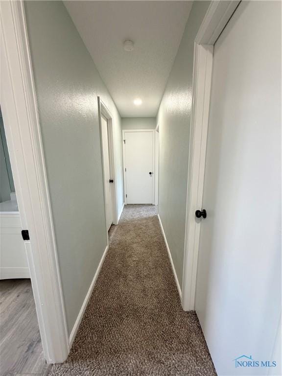 2655 101st St, Toledo, OH 43611 - corridor featuring baseboards and carpet