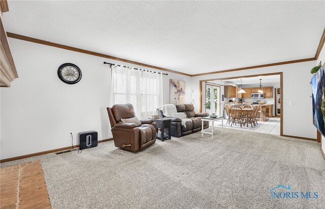8225 Hidden Forest Dr, Holland, OH 43528 - living room featuring ornamental molding, baseboards, a textured ceiling, and light carpet