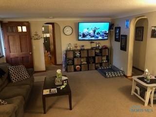 129 Central Ave, North Baltimore, OH 45872 - living area featuring arched walkways and carpet flooring