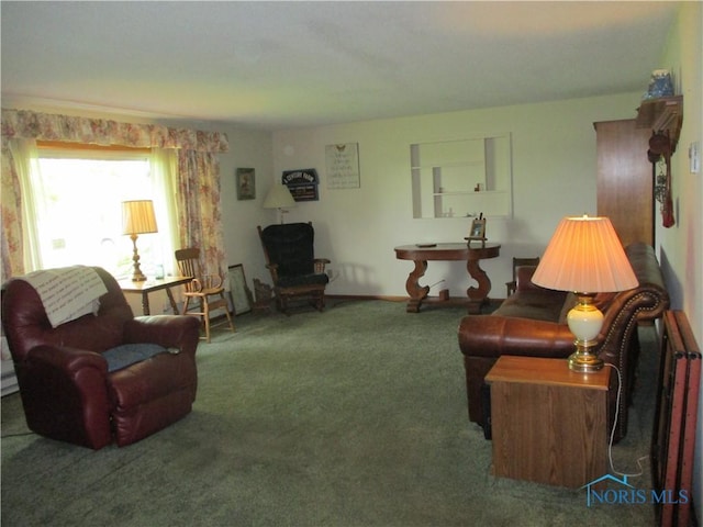 7358 State Route 15, Defiance, OH 43512 - living area with carpet floors and baseboards