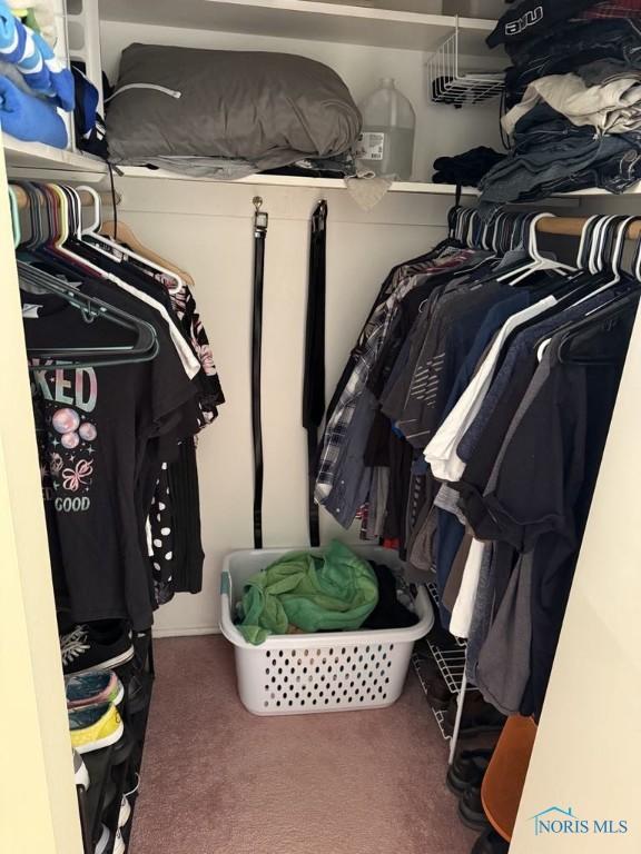 1133 Inverness Dr, Findlay, OH 45840 - spacious closet featuring carpet floors