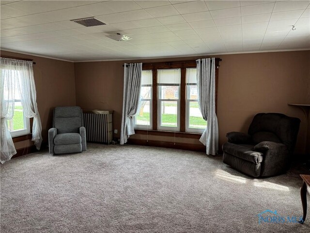 108 E Maple St, Deshler, OH 43516 - living area featuring carpet, crown molding, and radiator heating unit