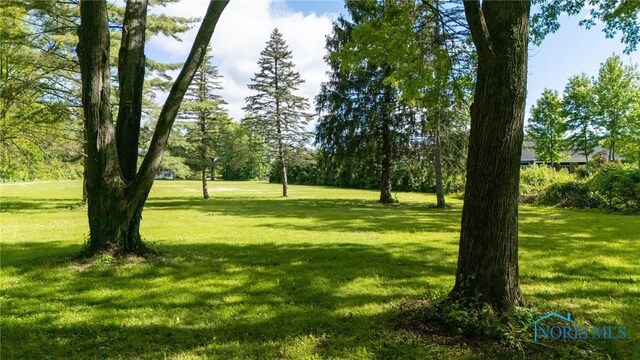 7539 Maumee Western Rd, Maumee, OH 43537 - photo 9