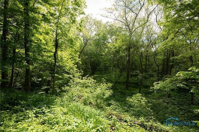 7539 Maumee Western Rd, Maumee, OH 43537 - photo 26