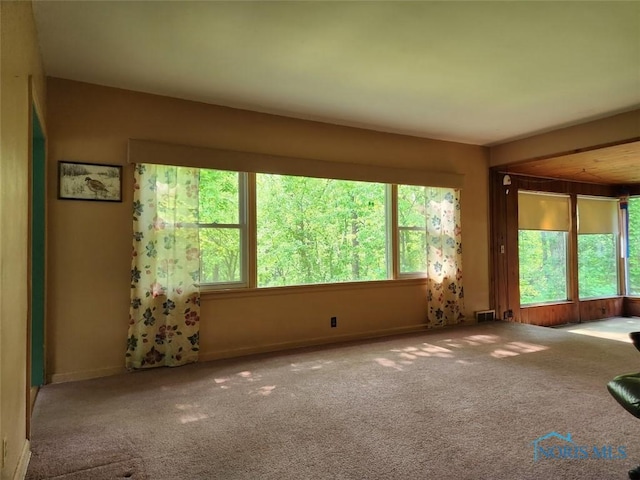 7539 Maumee Western Rd, Maumee, OH 43537 - photo 36
