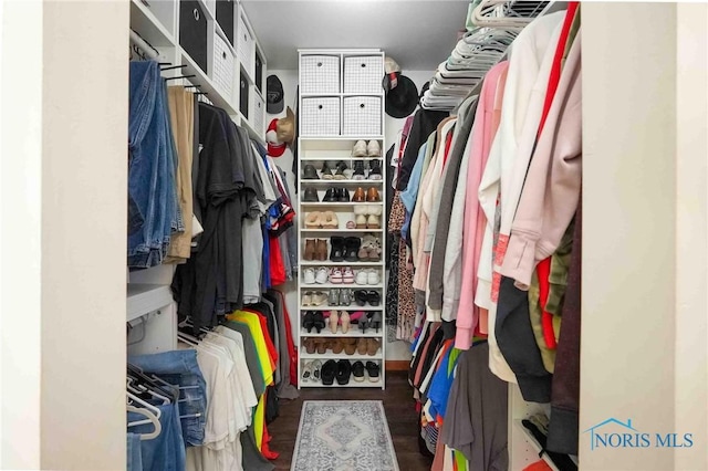 16070 Rd S, Columbus Grove, OH 45830 - view of spacious closet