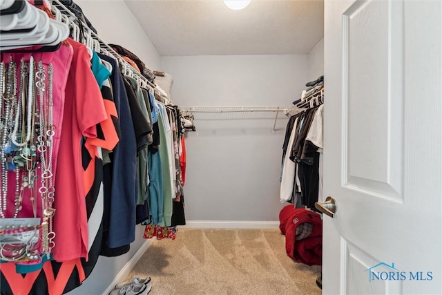 1250 Indiana Ave, Napoleon, OH 43545 - spacious closet featuring carpet flooring