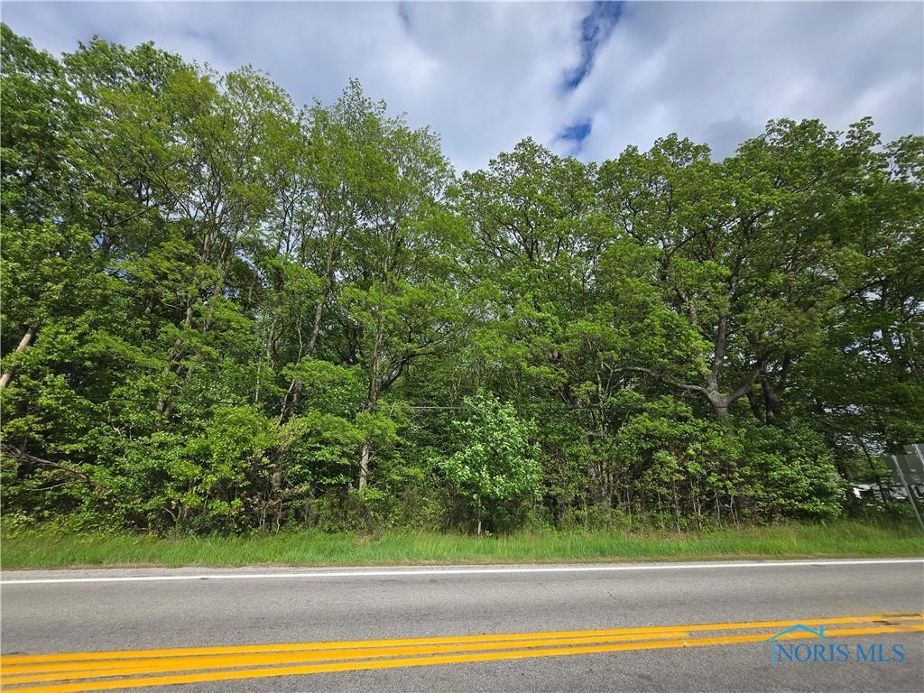 1255 S Berkey Southern Rd, Swanton, OH 43558