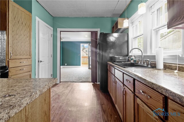 1006 Woodward Ave, Toledo, OH 43608 - kitchen with dark wood finished floors, a sink, plenty of natural light, and freestanding refrigerator