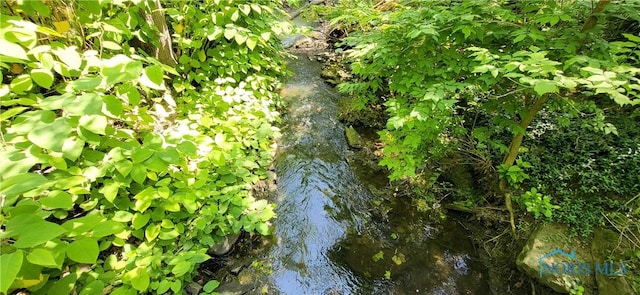 5806 Elmer Dr, Toledo, OH 43615 - view of local wilderness