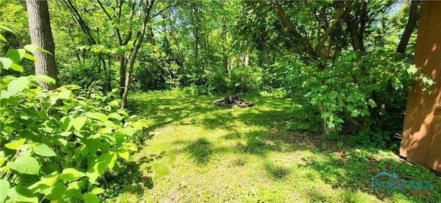 5806 Elmer Dr, Toledo, OH 43615 - view of nature