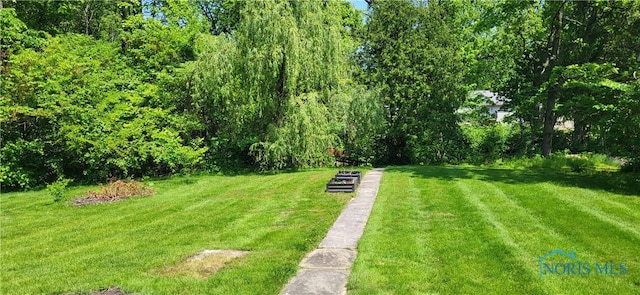 5806 Elmer Dr, Toledo, OH 43615 - view of green lawn