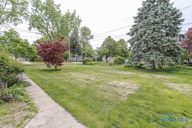 1201 Birch Ave, Maumee, OH 43537 - view of grassy yard