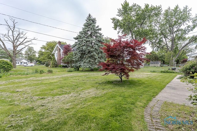 1201 Birch Ave, Maumee, OH 43537 - view of green lawn