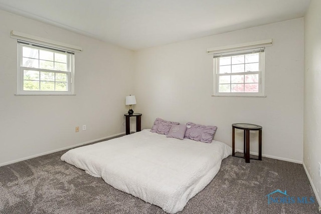 1201 Birch Ave, Maumee, OH 43537 - carpeted bedroom with multiple windows and baseboards