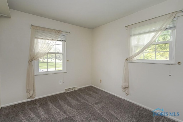 1201 Birch Ave, Maumee, OH 43537 - empty room featuring healthy amount of natural light, carpet floors, and baseboards