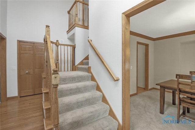 4729 Talon Trl, Maumee, OH 43537 - staircase featuring baseboards and ornamental molding