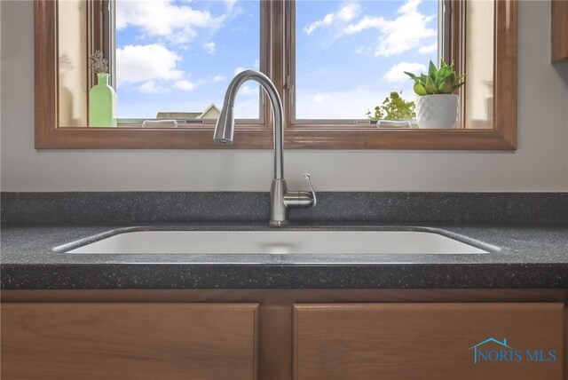 4729 Talon Trl, Maumee, OH 43537 - detailed view of a sink and dark countertops