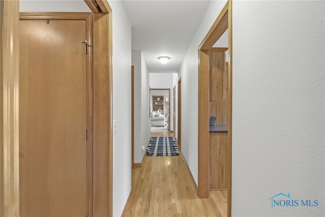4729 Talon Trl, Maumee, OH 43537 - corridor featuring light wood finished floors and baseboards