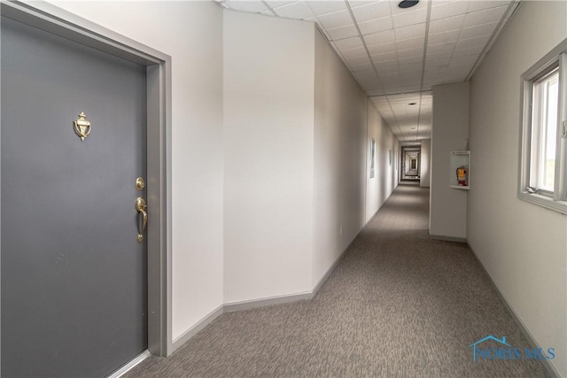 5831 Monroe St Unit 602, Sylvania, OH 43560 - hall featuring carpet and baseboards