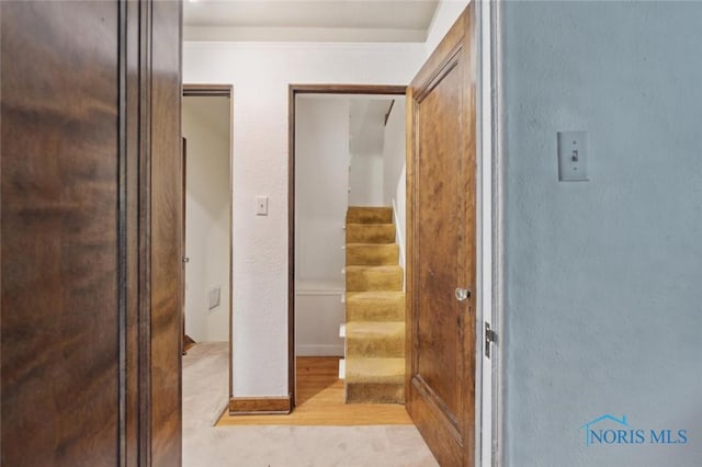 2256 Barrington Dr, Toledo, OH 43606 - hallway featuring light wood-type flooring, stairway, and baseboards