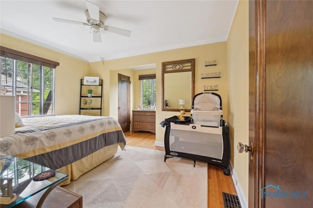 2256 Barrington Dr, Toledo, OH 43606 - bedroom featuring light wood finished floors, multiple windows, and baseboards