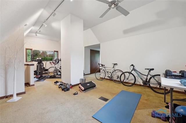 2256 Barrington Dr, Toledo, OH 43606 - workout room featuring rail lighting, a ceiling fan, baseboards, vaulted ceiling, and carpet flooring