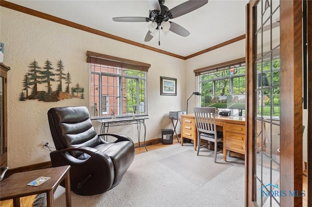 2256 Barrington Dr, Toledo, OH 43606 - home office featuring a textured wall, baseboards, ornamental molding, carpet flooring, and a ceiling fan