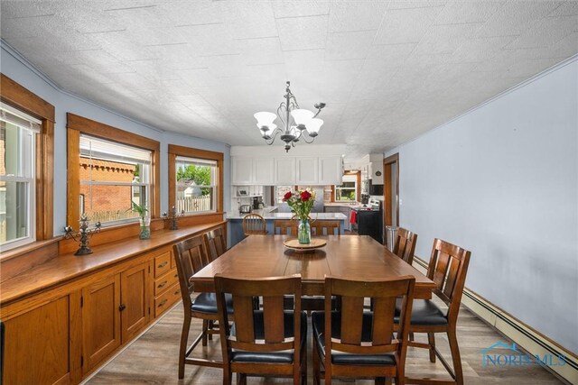 451 Toledo St, Elmore, OH 43416 - dining room featuring light wood-style floors, a chandelier, and a baseboard radiator
