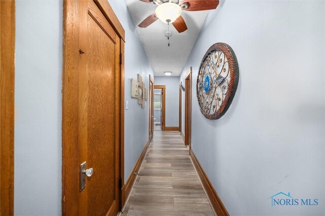 451 Toledo St, Elmore, OH 43416 - hall featuring wood finished floors and baseboards