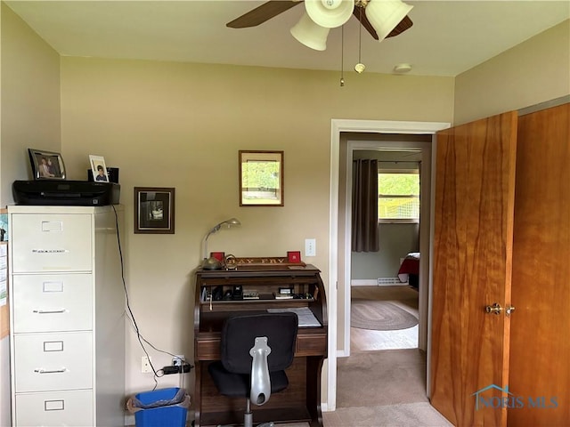 243 W S Boundary St, Perrysburg, OH 43551 - office space featuring carpet floors and a ceiling fan