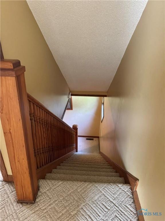 429 N Park St, Deshler, OH 43516 - stairway featuring carpet floors and a textured ceiling