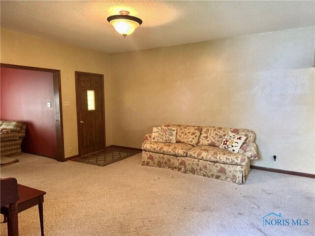 429 N Park St, Deshler, OH 43516 - living room with carpet and a textured ceiling