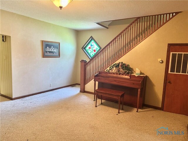 429 N Park St, Deshler, OH 43516 - stairway featuring carpet floors and a textured ceiling