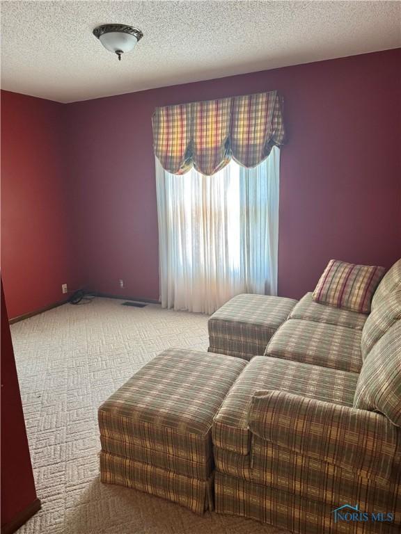 429 N Park St, Deshler, OH 43516 - carpeted living area featuring a textured ceiling