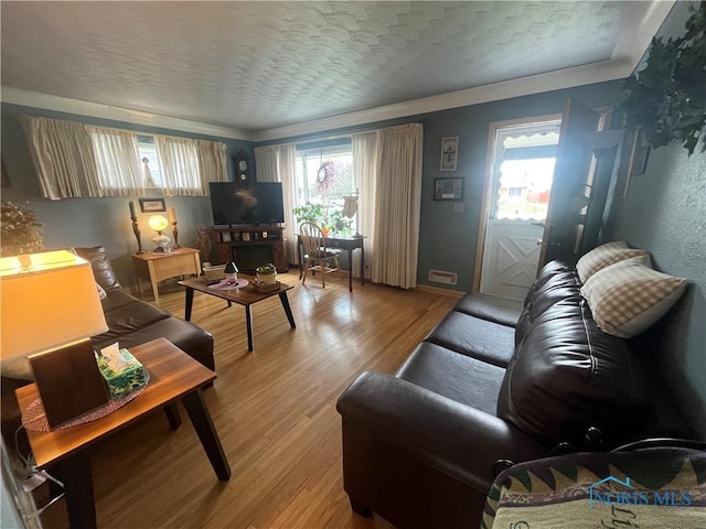 4448 Helmond Ct, Toledo, OH 43611 - living area featuring light wood-type flooring