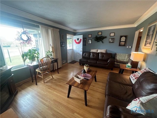 4448 Helmond Ct, Toledo, OH 43611 - living area featuring light wood-style floors and baseboards